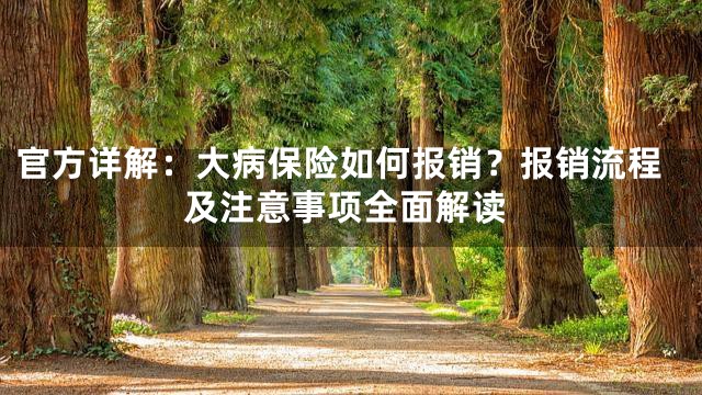 官方详解：大病保险如何报销？报销流程及注意事项全面解读