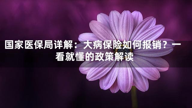 国家医保局详解：大病保险如何报销？一看就懂的政策解读