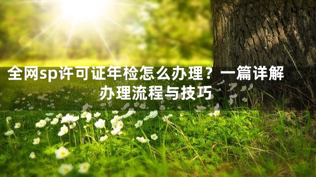 全网sp许可证年检怎么办理？一篇详解办理流程与技巧