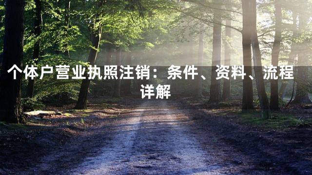 个体户营业执照注销：条件、资料、流程详解