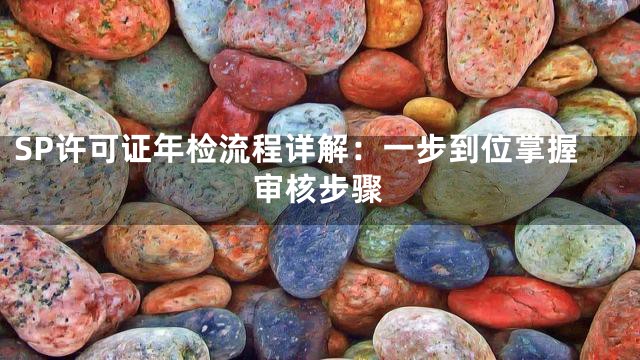 SP许可证年检流程详解：一步到位掌握审核步骤