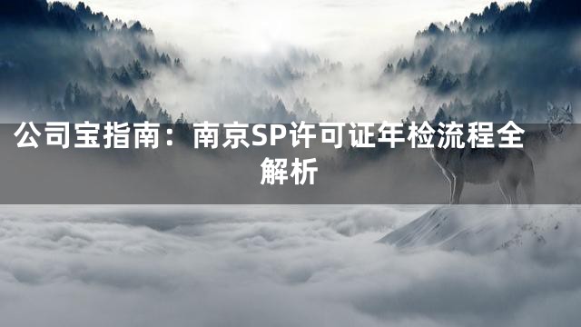 公司宝指南：南京SP许可证年检流程全解析