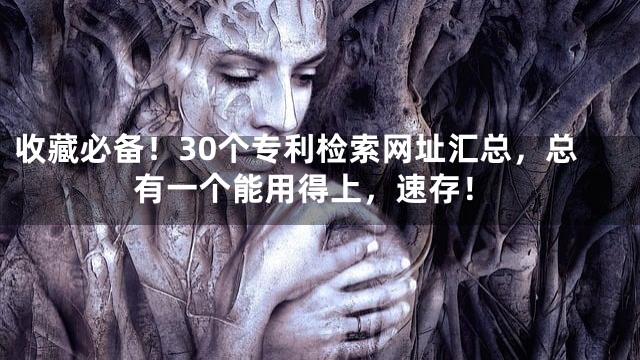 收藏必备！30个专利检索网址汇总，总有一个能用得上，速存！