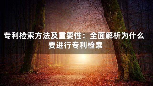 专利检索方法及重要性：全面解析为什么要进行专利检索