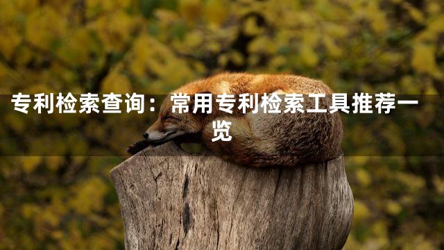 专利检索查询：常用专利检索工具推荐一览