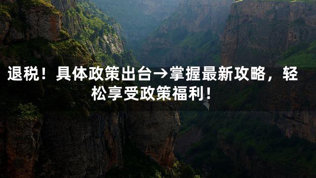 退税！具体政策出台→掌握最新攻略，轻松享受政策福利！