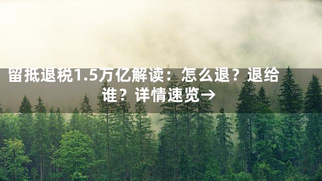 留抵退税1.5万亿解读：怎么退？退给谁？详情速览→