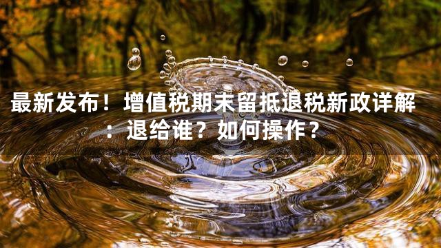 最新发布！增值税期末留抵退税新政详解：退给谁？如何操作？