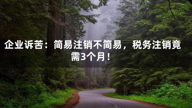 企业诉苦：简易注销不简易，税务注销竟需3个月！