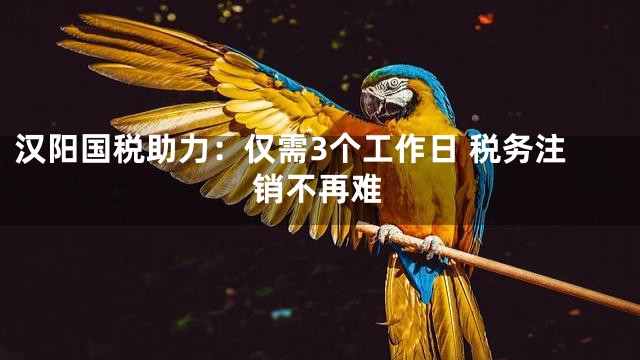 汉阳国税助力：仅需3个工作日 税务注销不再难