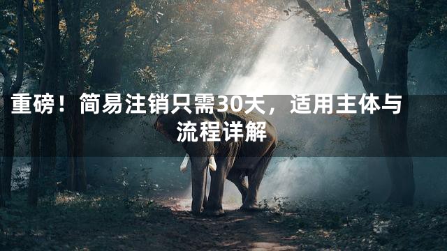 重磅！简易注销只需30天，适用主体与流程详解