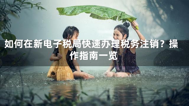 如何在新电子税局快速办理税务注销？操作指南一览