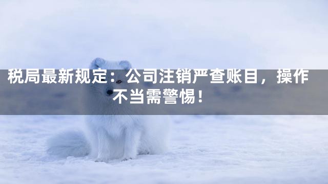 税局最新规定：公司注销严查账目，操作不当需警惕！