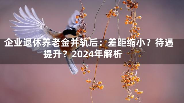 企业退休养老金并轨后：差距缩小？待遇提升？2024年解析