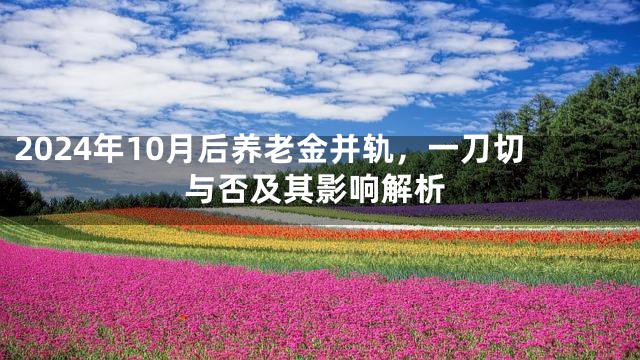2024年10月后养老金并轨，一刀切与否及其影响解析
