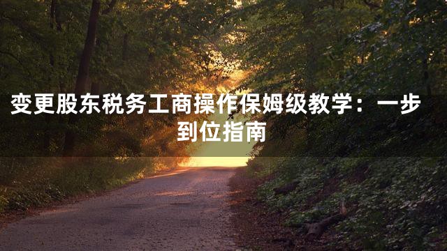 变更股东税务工商操作保姆级教学：一步到位指南