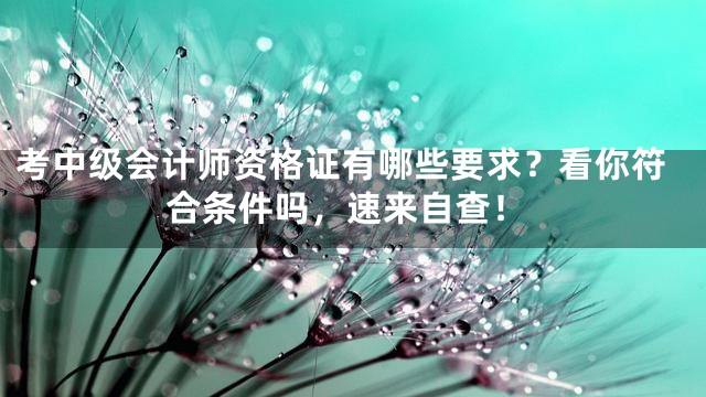 考中级会计师资格证有哪些要求？看你符合条件吗，速来自查！