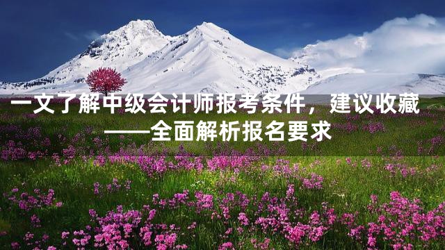 一文了解中级会计师报考条件，建议收藏——全面解析报名要求