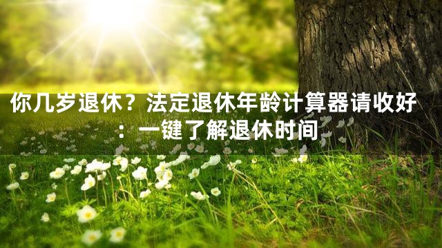 你几岁退休？法定退休年龄计算器请收好：一键了解退休时间