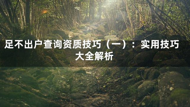足不出户查询资质技巧（一）：实用技巧大全解析