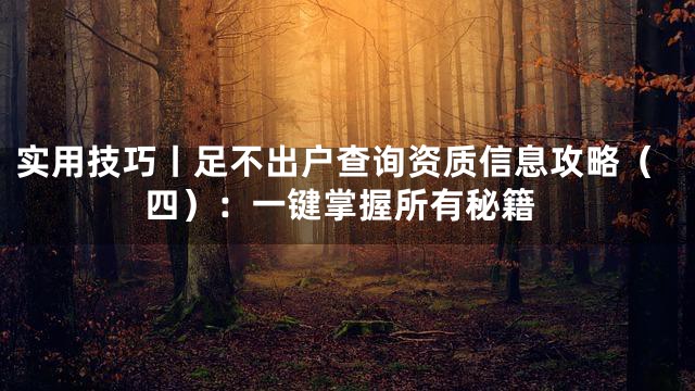 实用技巧丨足不出户查询资质信息攻略（四）：一键掌握所有秘籍