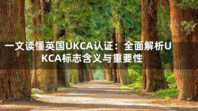 一文读懂英国UKCA认证：全面解析UKCA标志含义与重要性