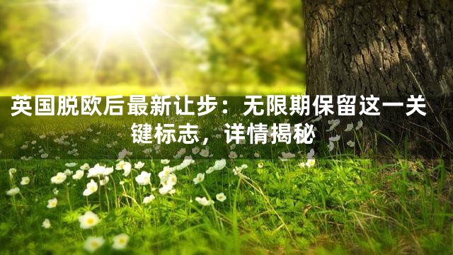 英国脱欧后最新让步：无限期保留这一关键标志，详情揭秘