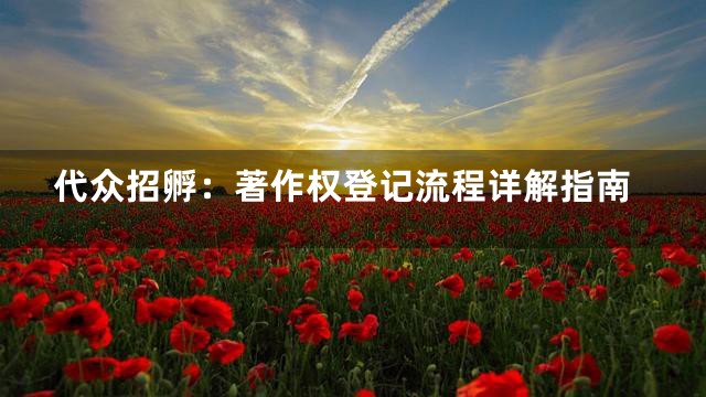 代众招孵：著作权登记流程详解指南