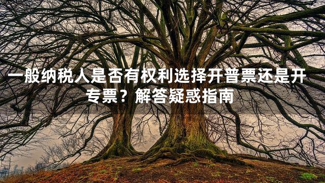 一般纳税人是否有权利选择开普票还是开专票？解答疑惑指南
