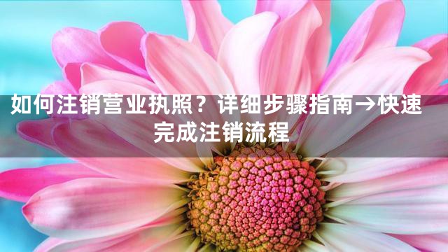 如何注销营业执照？详细步骤指南→快速完成注销流程