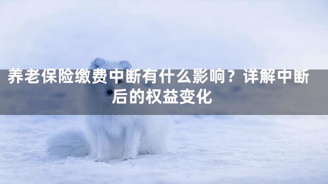 养老保险缴费中断有什么影响？详解中断后的权益变化