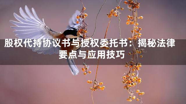 股权代持协议书与授权委托书：揭秘法律要点与应用技巧