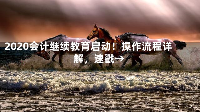 2020会计继续教育启动！操作流程详解，速戳→