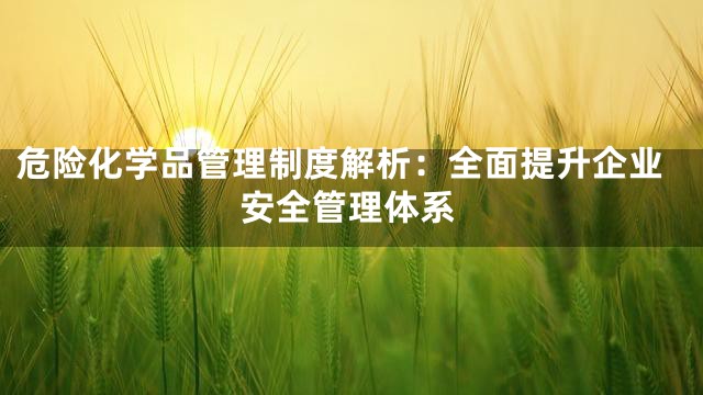 危险化学品管理制度解析：全面提升企业安全管理体系