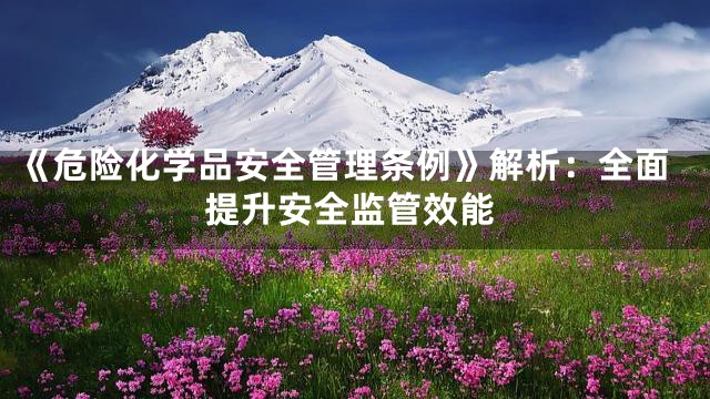 《危险化学品安全管理条例》解析：全面提升安全监管效能