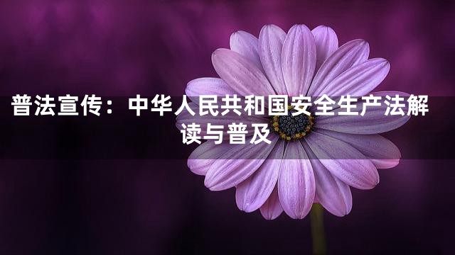 普法宣传：中华人民共和国安全生产法解读与普及