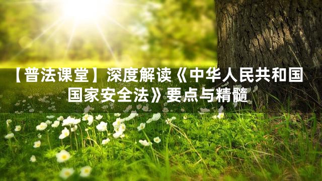 【普法课堂】深度解读《中华人民共和国国家安全法》要点与精髓