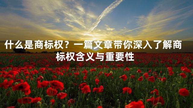什么是商标权？一篇文章带你深入了解商标权含义与重要性