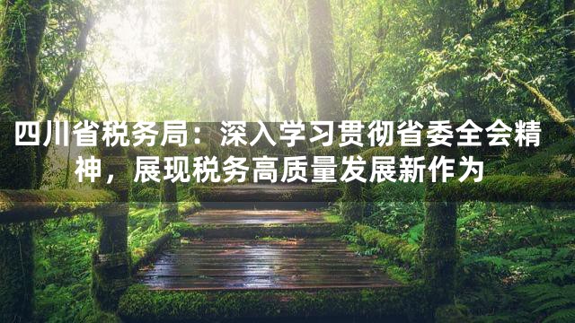 四川省税务局：深入学习贯彻省委全会精神，展现税务高质量发展新作为
