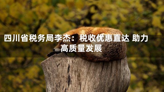 四川省税务局李杰：税收优惠直达 助力高质量发展