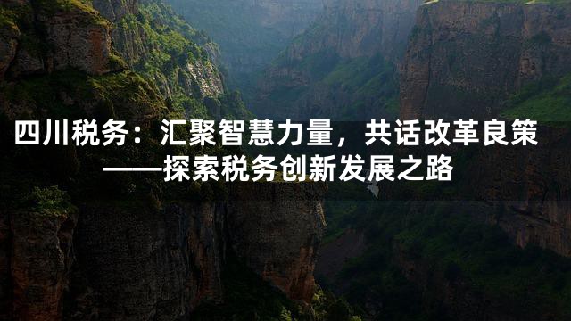 四川税务：汇聚智慧力量，共话改革良策——探索税务创新发展之路