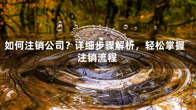 如何注销公司？详细步骤解析，轻松掌握注销流程