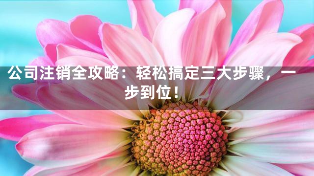 公司注销全攻略：轻松搞定三大步骤，一步到位！