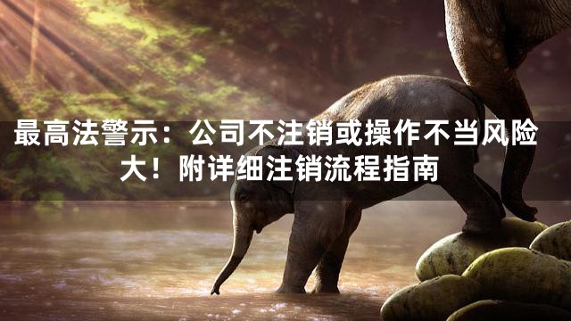 最高法警示：公司不注销或操作不当风险大！附详细注销流程指南