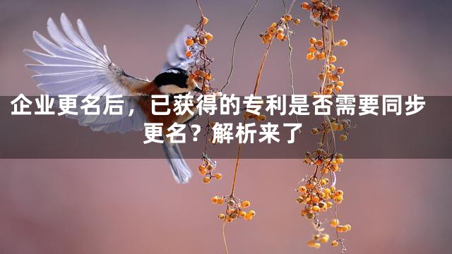 企业更名后，已获得的专利是否需要同步更名？解析来了