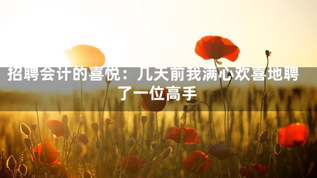招聘会计的喜悦：几天前我满心欢喜地聘了一位高手