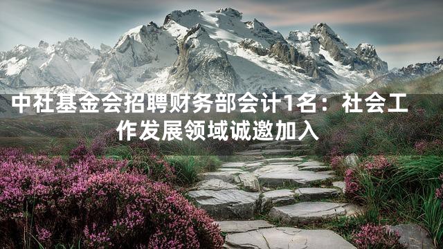 中社基金会招聘财务部会计1名：社会工作发展领域诚邀加入