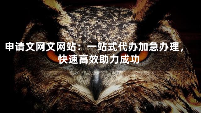 申请文网文网站：一站式代办加急办理，快速高效助力成功