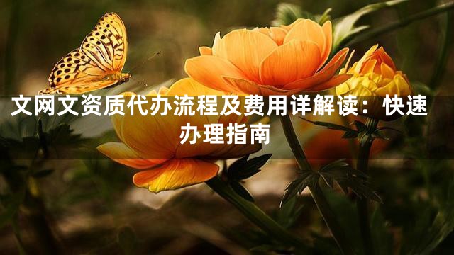 文网文资质代办流程及费用详解读：快速办理指南