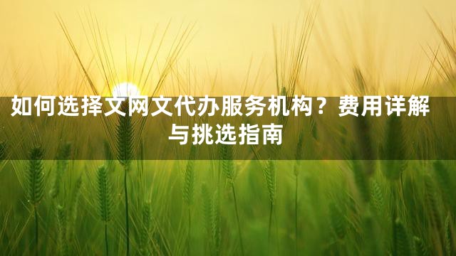 如何选择文网文代办服务机构？费用详解与挑选指南